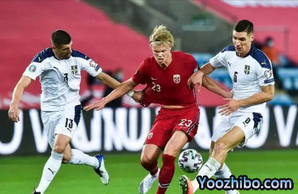 2022年卡塔尔世界杯<a data-cke-saved-href='https://www.zcccq.com/news/tag/1100691/p/1.html' href='https://www.zcccq.com/news/tag/1100691/p/1.html'>塞尔维亚国家队阵容大名单</a>